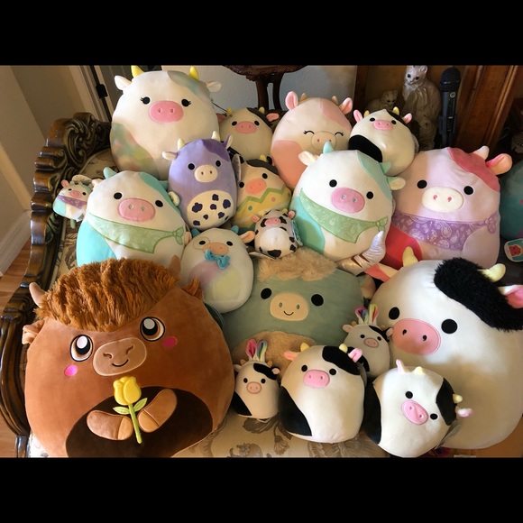 Meet your Posher, Jaime - Picture 4 of 15